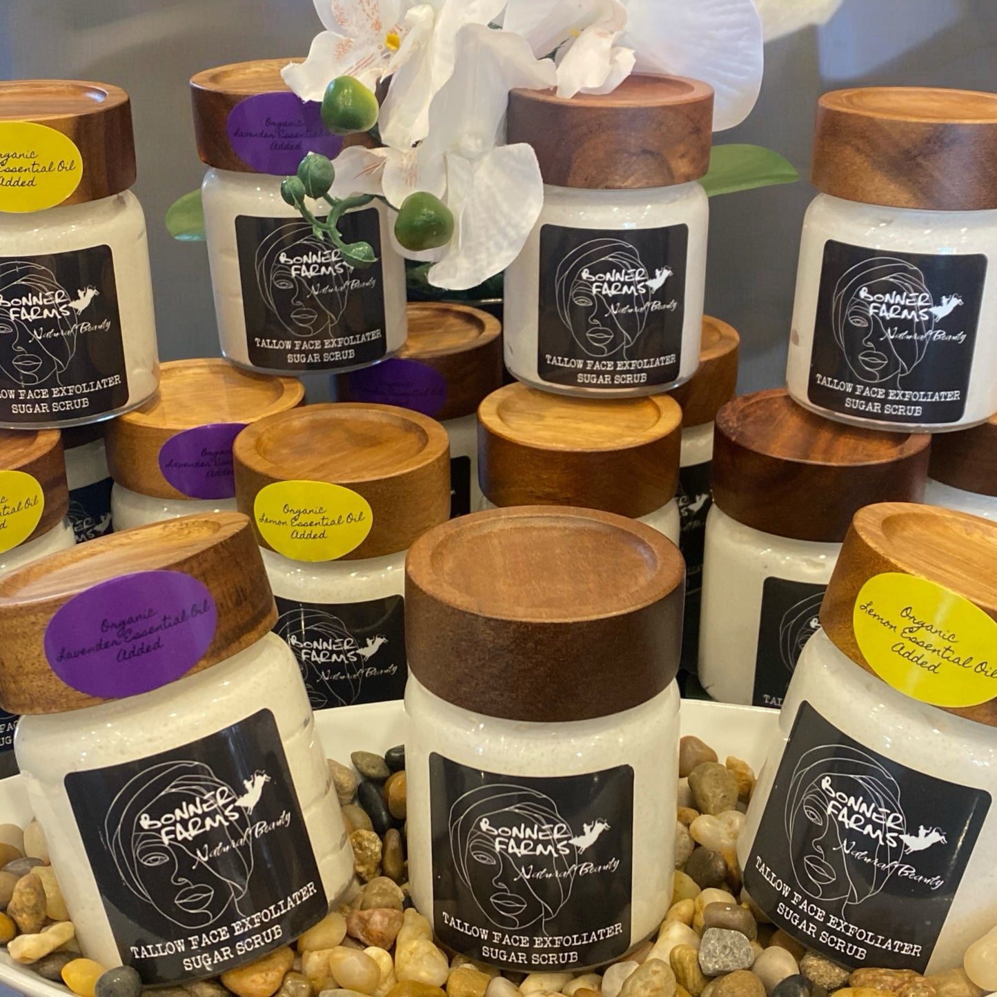 Tallow Face Exfoliator Sugar Scrub 5 Oz.