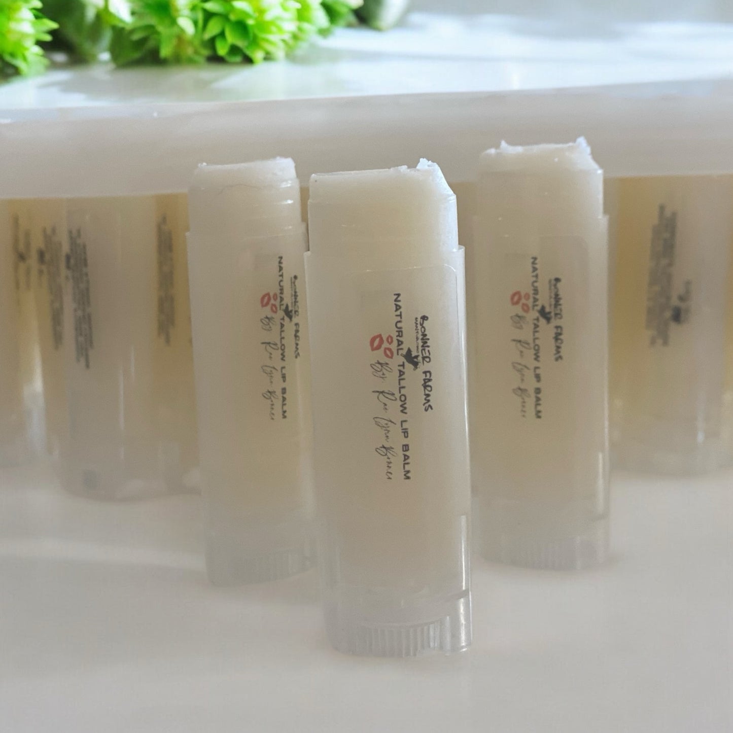 Tallow Organic Vanilla Bean Over Night Lip Mask