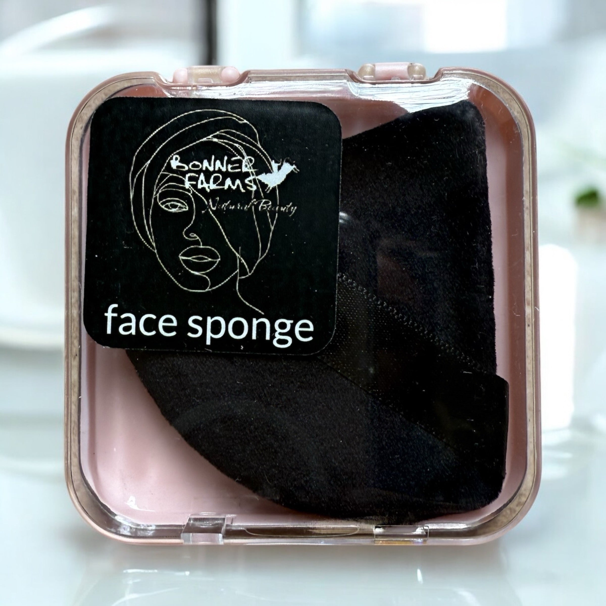 Face Sponge With Case